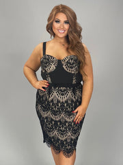 SV-A  M-109   {City Chic} Black Lace Dress  Retail $ 169.00 PLUS SIZE 16W