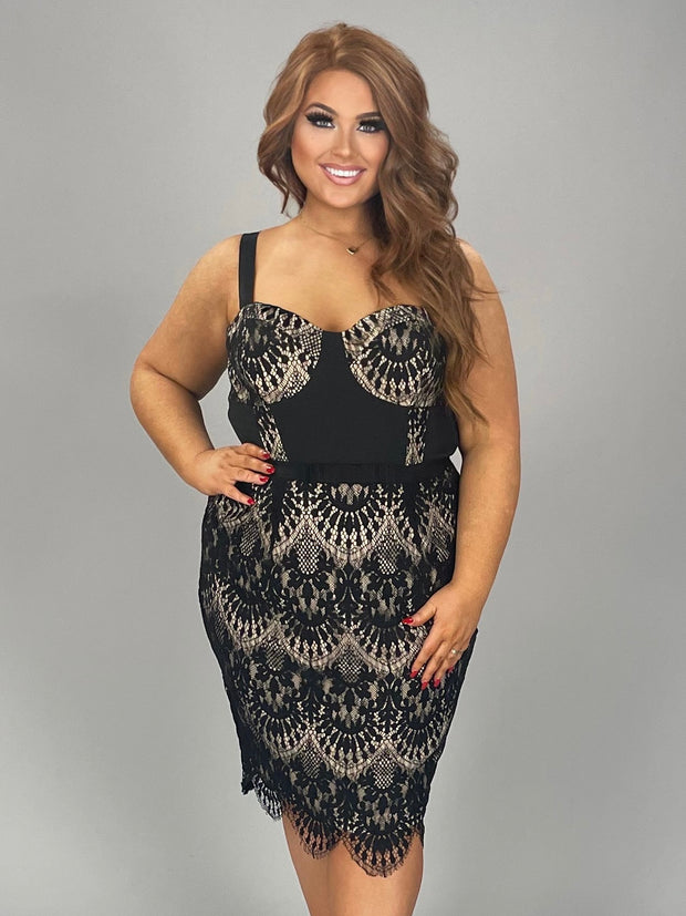 SV-A  M-109   {City Chic} Black Lace Dress  Retail $ 169.00 PLUS SIZE 16W