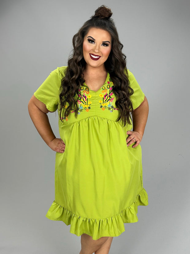 33 SD-A {Young At Heart} Lime  Embroidered Dress PLUS SIZE 1X 2X 3X