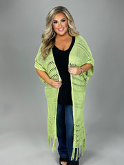 OT-D (Sage Advice} Lt. Green Sweater With Fringe Detail & Back Lace Insert PLUS SIZE 1X 2X 3X