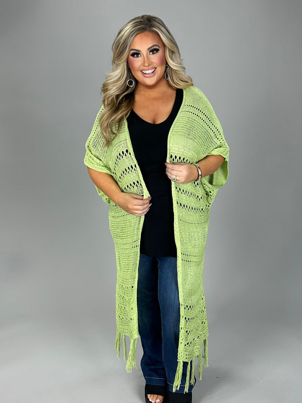 OT-D (Sage Advice} Lt. Green Sweater With Fringe Detail & Back Lace Insert PLUS SIZE 1X 2X 3X
