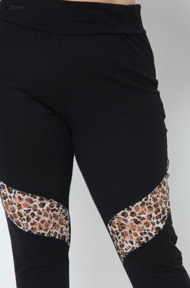 SALE!! BT-C {Little Bit Of Wild} VOCAL Black Leggings w/Leopard Lace PLUS SIZE 1X 2X 3X