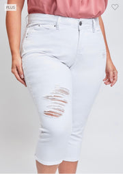 LEG-26 {Royalty For Me} White Ripped Capri Pants PLUS SIZE 14 16 18